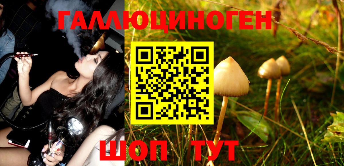 Галлюциногенные грибы MAGIC MUSHROOMS  Вход с VPN  Галлюциногенные грибы Cubensis  Кумертау 